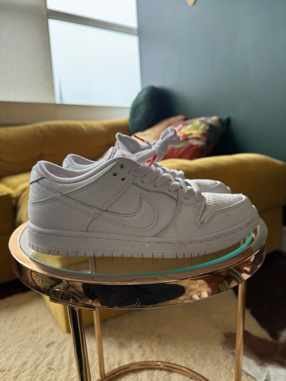Nike Skateboard White Low-Top Leather Sneakers
